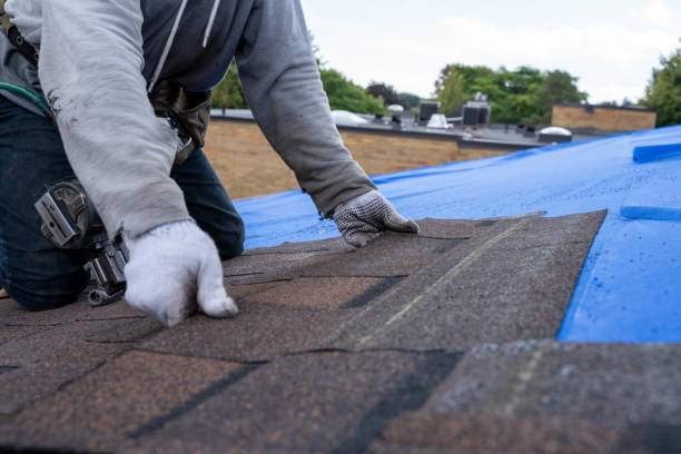 Best Storm Damage Roof Repair  in Albany, MN