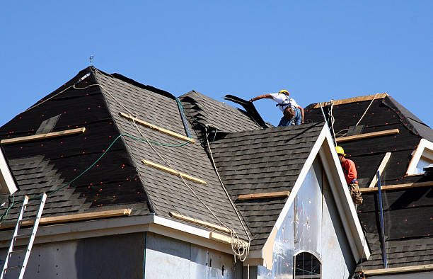 Best Residential Roof Replacement  in Albany, MN