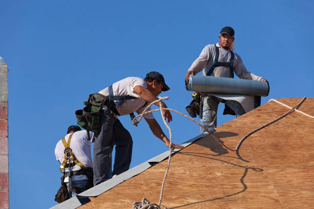 Best Roof Maintenance Services  in Albany, MN