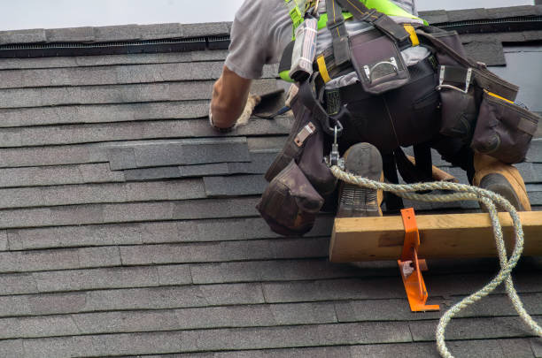 Best Roof Leak Repair  in Albany, MN