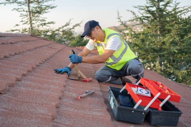 Best Slate Roofing Contractor  in Albany, MN