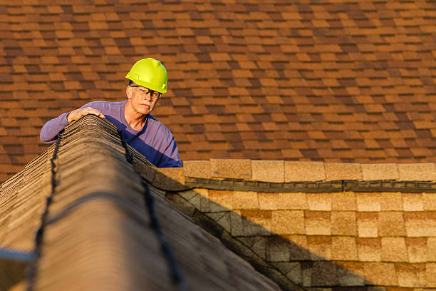 Quick and Trustworthy Emergency Roof Repair Services in Albany, MN