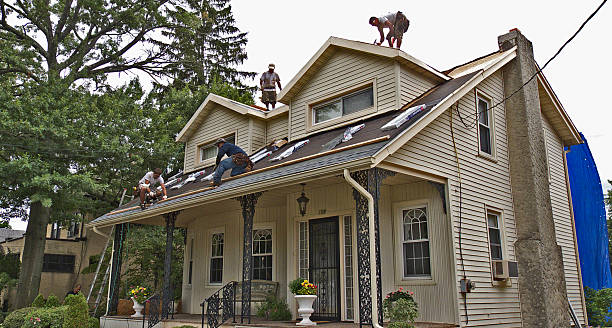 Tile Roofing Contractor in Albany, MN
