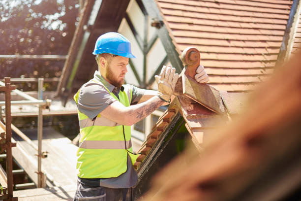 Best Roof Restoration Services  in Albany, MN